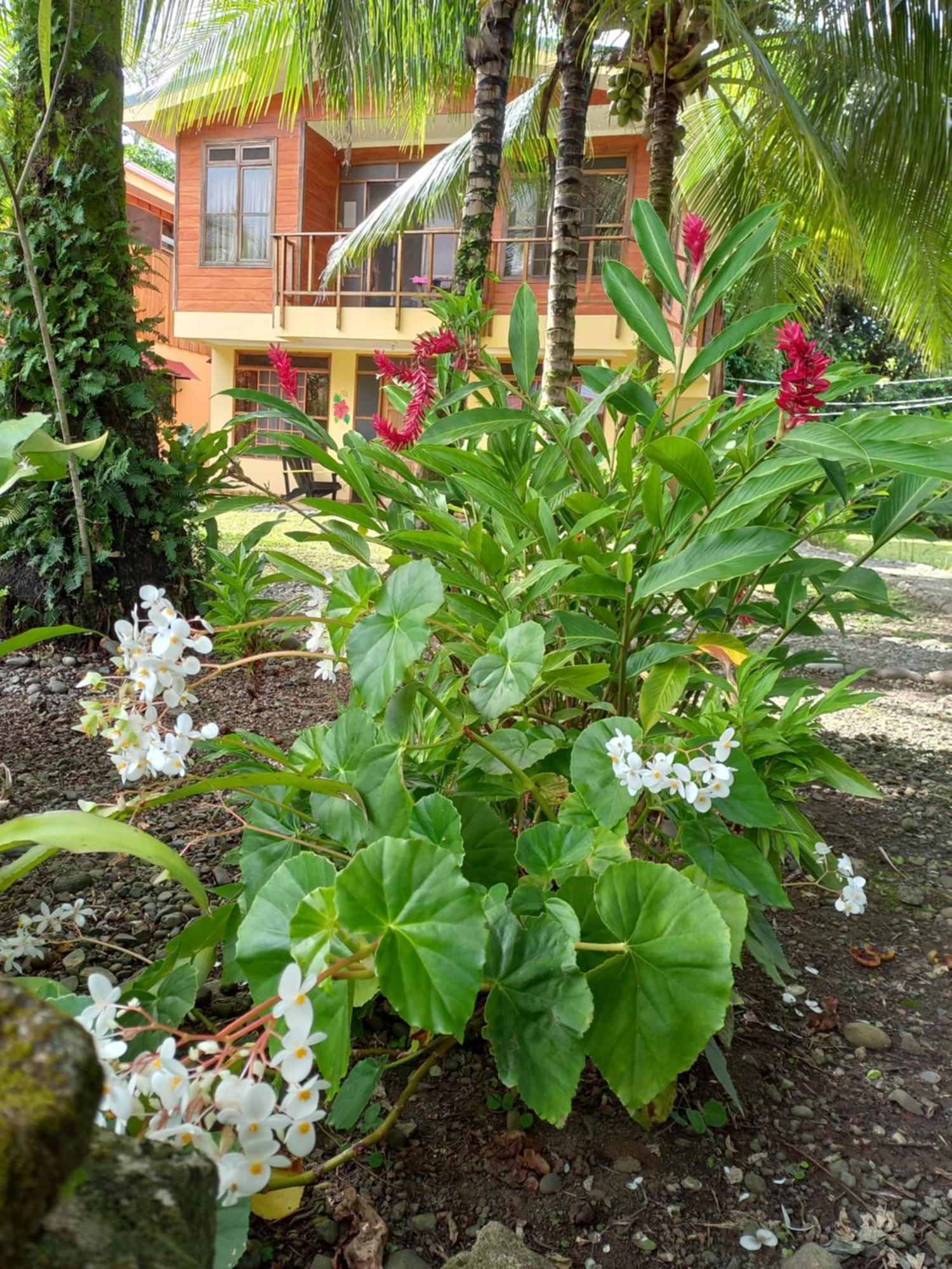 Babilonia Lejlighedshotel Cahuita Eksteriør billede