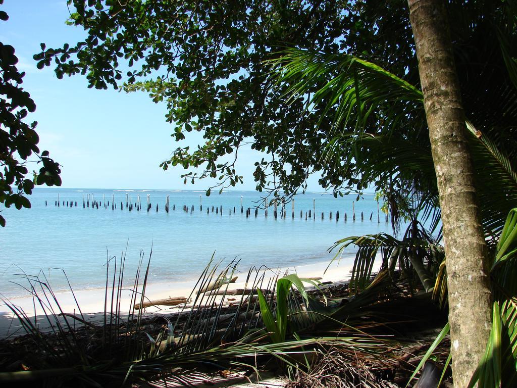 Babilonia Lejlighedshotel Cahuita Eksteriør billede