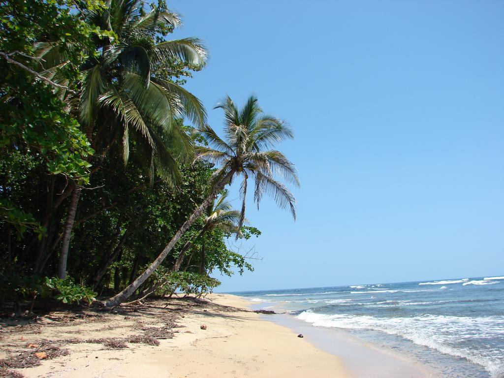 Babilonia Lejlighedshotel Cahuita Eksteriør billede