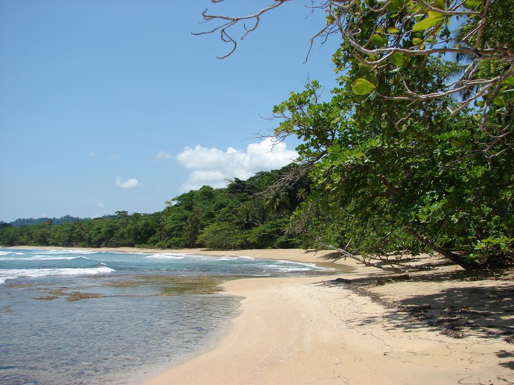 Babilonia Lejlighedshotel Cahuita Eksteriør billede