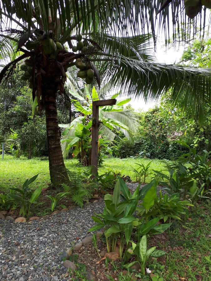 Babilonia Lejlighedshotel Cahuita Eksteriør billede
